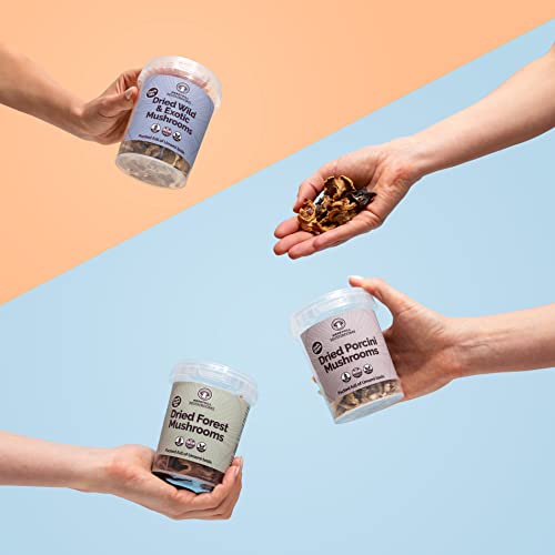 Merryhill Mushrooms - Dried Wild & Exotic Mushrooms (Porcini, Chanterelle, Shiitake, Oyster) (35g)