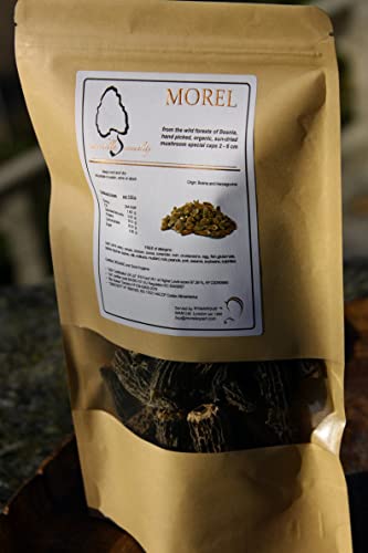 Morel Mushrooms, Popular Choice CAPS (2-6 cm) - no Tails - Hand Picked, Sun-Dried… (30 gr)