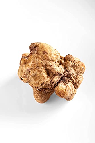 La Rustichella White Truffle Olive Oil, 500 ml