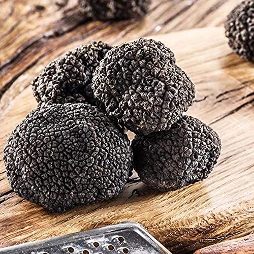 Truffle Acacia Honey 220g - Award Winner Gourmet Product