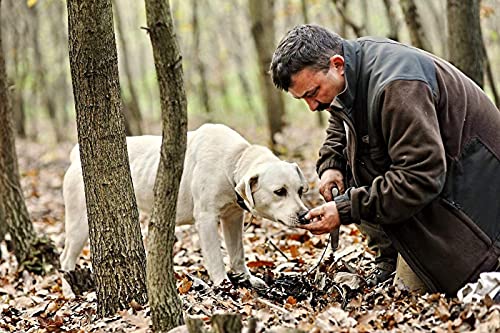 Black Truffle Slices 50g - Truffle Carpaccio - Award Winner