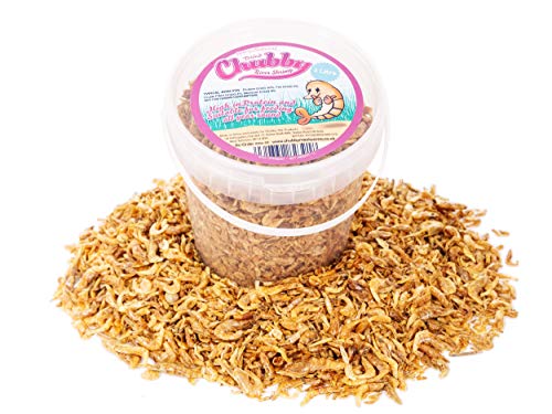 Chubby Dried River Shrimp, 1 Litre