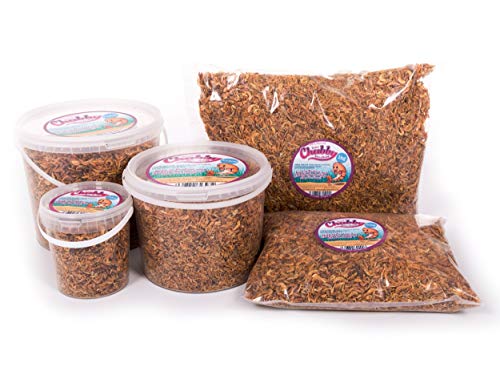 Chubby Dried River Shrimp, 1 Litre