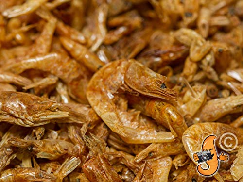 Chubby Dried River Shrimp, 1 Litre