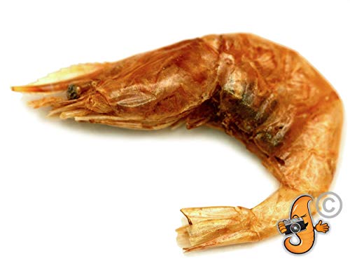 Chubby Dried River Shrimp, 1 Litre