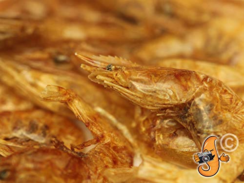 Chubby Dried River Shrimp, 1 Litre