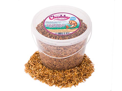 Chubby Dried River Shrimp, 5 Litre Tub