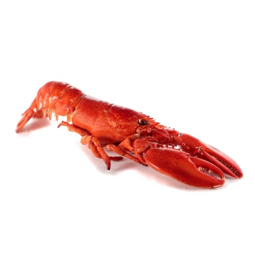 Whole Cooked Frozen Lobster 500gr