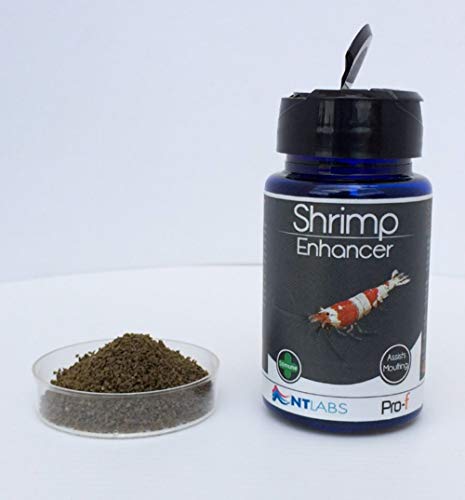 NT LABS PRO-F SHRIMP ENHANCER 40g SHRIMP FOOD AQUARIUM 0733809001021