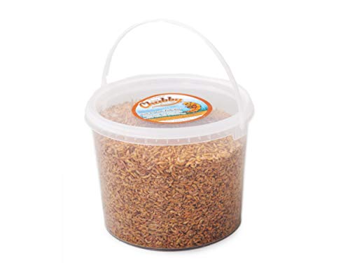 3Litre Tub Chubby Dried Gammarus - Siberian Shrimps for Fish