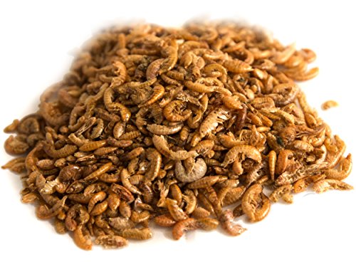 3Litre Tub Chubby Dried Gammarus - Siberian Shrimps for Fish