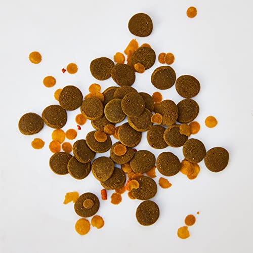 Tetra Crusta Menu Staple Food for Shrimps and Crayfish, 100 ml