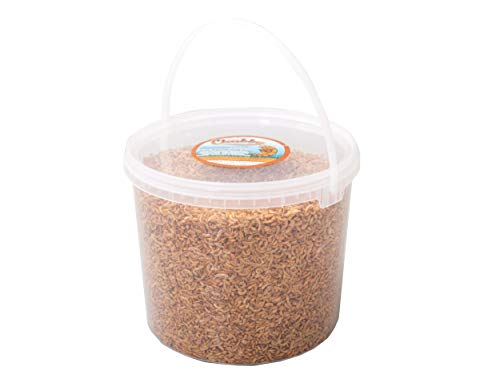 5 Litres Tub Chubby Dried Gammarus - Siberian Shrimps for Fish