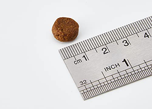 Taste of the Wild Wetlands with Roasted Fowl 12.2kg