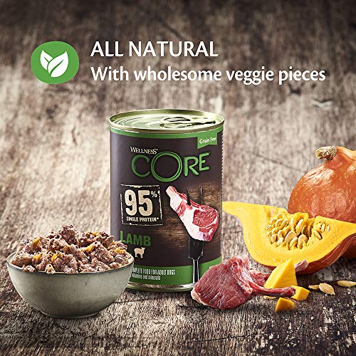 Wellness CORE 95% Lamb & Pumpkin, Wet Dog Food, Grain Free Wet Dog Food, High Meat Content, Lamb & Pumpkin, 6 x 400 g