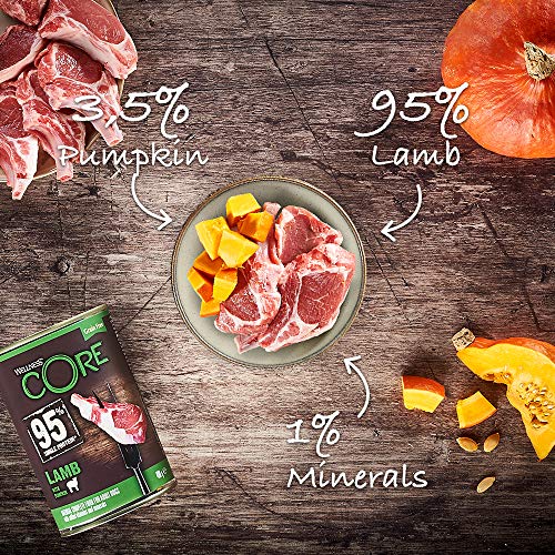 Wellness CORE 95% Lamb & Pumpkin, Wet Dog Food, Grain Free Wet Dog Food, High Meat Content, Lamb & Pumpkin, 6 x 400 g