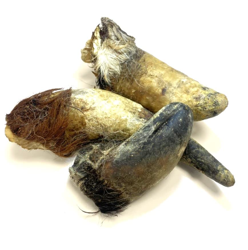 Bulls Horns with Hair Extra Large 2kg Natural Dog Treats Chews (approx 5-8)