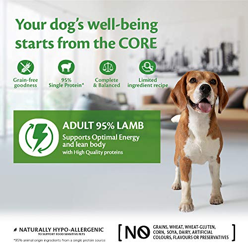 Wellness CORE 95% Lamb & Pumpkin, Wet Dog Food, Grain Free Wet Dog Food, High Meat Content, Lamb & Pumpkin, 6 x 400 g
