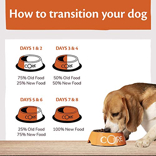 Wellness CORE 95% Lamb & Pumpkin, Wet Dog Food, Grain Free Wet Dog Food, High Meat Content, Lamb & Pumpkin, 6 x 400 g