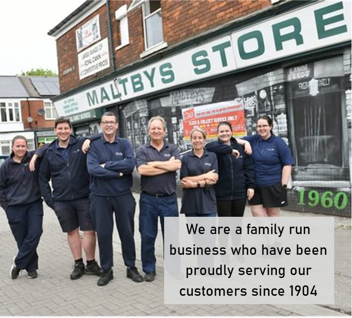 Bulls Horns with Hair Extra Large 2kg Natural Dog Treats Chews (approx 5-8)