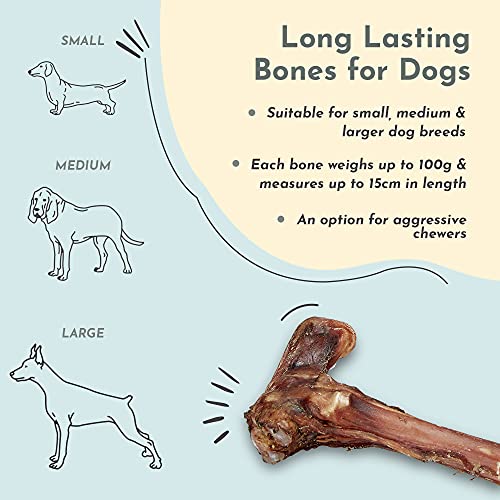 Purplebone Venison Deer Marrow Dog Treats, Pack of 3, Dog Bone Treats for Large or Small Breeds | 100% Natural & Longer Lasting Sticks | Free From Hormones, Additives Or Antibiotics