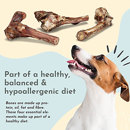 Purplebone Venison Deer Marrow Dog Treats, Pack of 3, Dog Bone Treats for Large or Small Breeds | 100% Natural & Longer Lasting Sticks | Free From Hormones, Additives Or Antibiotics