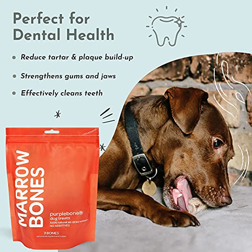 Purplebone Venison Deer Marrow Dog Treats, Pack of 3, Dog Bone Treats for Large or Small Breeds | 100% Natural & Longer Lasting Sticks | Free From Hormones, Additives Or Antibiotics