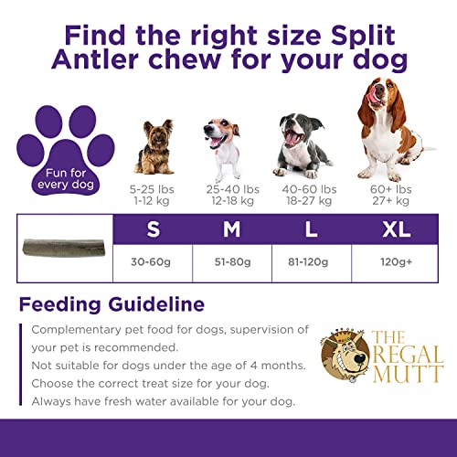 The Regal Mutt - Split Antler - Bag of 3 (Large)