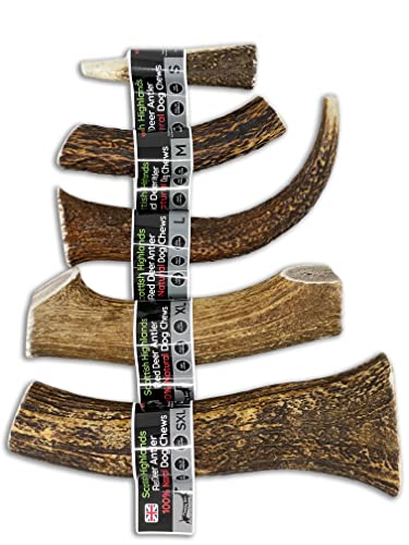 Scottish Deer Antler Dog Chews - Naturally Shed, Long Lasting, 100% Natural… (Deer Antler Chew Extra Large 240-300g)