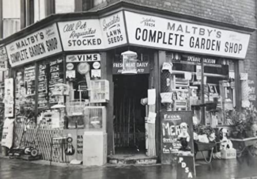 Bulls Horns Extra Large 1kg Natural Dog Treats Chews (approx 2-4) LOD1