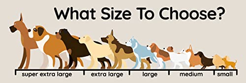 Scottish Deer Antler Dog Chews - Naturally Shed, Long Lasting, 100% Natural… (Deer Antler Chew Extra Large 240-300g)