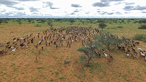 Külbs Original Namibian Biltong - High Protein Snack from Namibia | 100% Free Range Beef | protein-rich & juicy dried meat (200g Traditional Taste & 200g Mild Chili Taste)