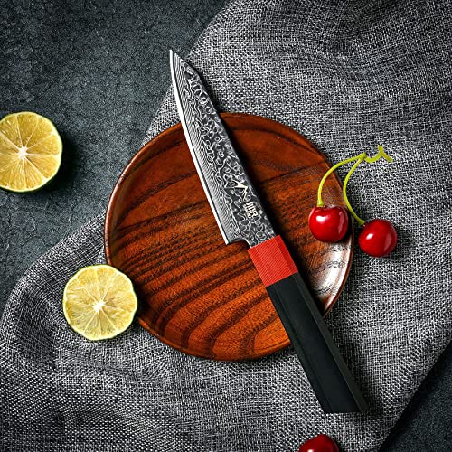 SANNKA Japanese Chef Knife 5 inch Paring Knife Damascus Knife VG10 High Carbon Stainless Steel Kitchen Knife 67-Layer Japanese Knife Sharp Knife Small Kitchen Knife Sharp Knife with Sheath
