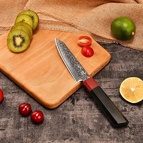 SANNKA Japanese Chef Knife 5 inch Paring Knife Damascus Knife VG10 High Carbon Stainless Steel Kitchen Knife 67-Layer Japanese Knife Sharp Knife Small Kitchen Knife Sharp Knife with Sheath