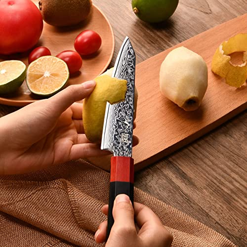 SANNKA Japanese Chef Knife 5 inch Paring Knife Damascus Knife VG10 High Carbon Stainless Steel Kitchen Knife 67-Layer Japanese Knife Sharp Knife Small Kitchen Knife Sharp Knife with Sheath