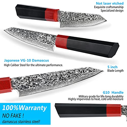 SANNKA Japanese Chef Knife 5 inch Paring Knife Damascus Knife VG10 High Carbon Stainless Steel Kitchen Knife 67-Layer Japanese Knife Sharp Knife Small Kitchen Knife Sharp Knife with Sheath