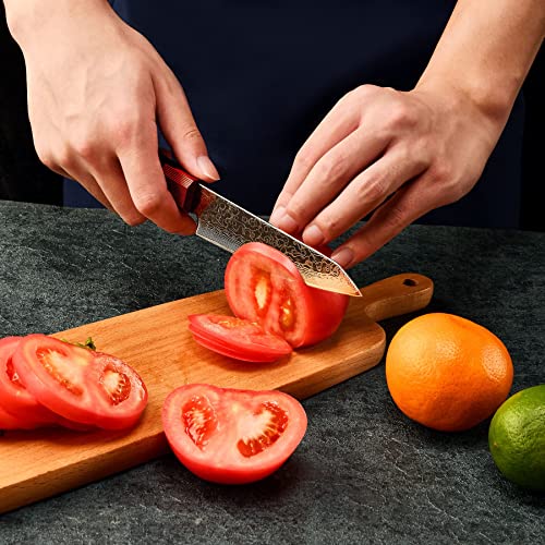 SANNKA Japanese Chef Knife 5 inch Paring Knife Damascus Knife VG10 High Carbon Stainless Steel Kitchen Knife 67-Layer Japanese Knife Sharp Knife Small Kitchen Knife Sharp Knife with Sheath