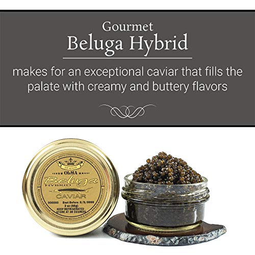 OLMA Beluga Hybrid Sturgeon Black Caviar - 2 oz