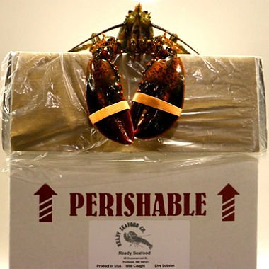 Wild Maine Lobster 10 lbs Express Shipped