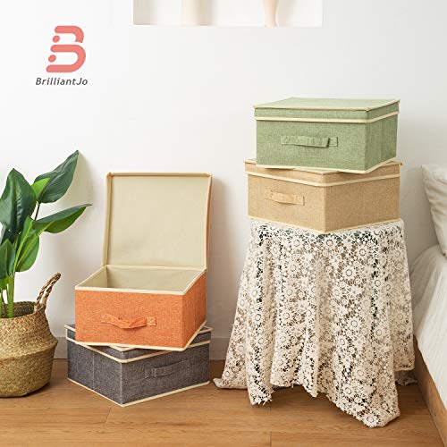 BrilliantJo Storage Boxes with Lid, Foldable Clothing Storage Basket case with Handle for Toy, Books, Closet, Bedroom, Home, Mixcolor, 13L x 12.5W x 7H inch