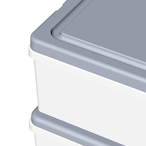 Cetomo Gray Plastic 5 Storage Drawers, Storage Drawer Cart with 4 Caster Wheels for Home, Closet, Bedroom, Bathroom, Office, Laundry, Kitchen, and School Dorm, Gray, Set of 1