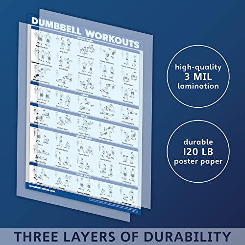 QuickFit Dumbbell Workouts and Barbell Exercise Poster Set - Laminated 2 Chart Set - Dumbbell Exercise Routine & Barbell Workouts (18" x 27")