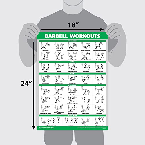 QuickFit Dumbbell Workouts and Barbell Exercise Poster Set - Laminated 2 Chart Set - Dumbbell Exercise Routine & Barbell Workouts (18" x 27")