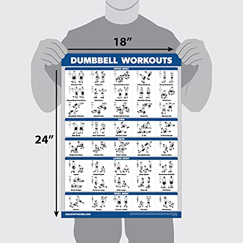 QuickFit Dumbbell Workouts and Barbell Exercise Poster Set - Laminated 2 Chart Set - Dumbbell Exercise Routine & Barbell Workouts (18" x 27")