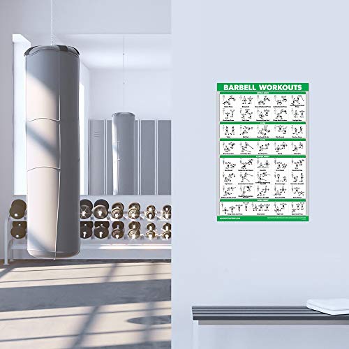 QuickFit Dumbbell Workouts and Barbell Exercise Poster Set - Laminated 2 Chart Set - Dumbbell Exercise Routine & Barbell Workouts (18" x 27")