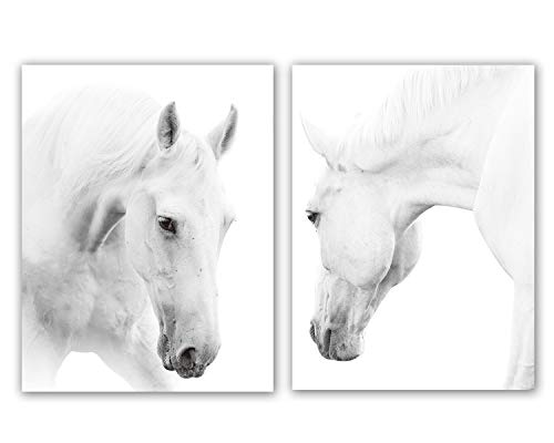 HPNIUB White Horse Wall Art Prints Set of 2 (12 X16”),Wild Horse Artwork, Animals Pictures of Horse Black White Canvas Wall Art for Bedroom Decoration,Horse Poster for Living Room Home Decor,No Frame