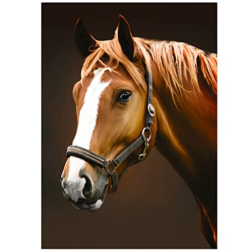 RICUVED DIY 5D Horse Diamond Painting Kits for Adults, Full Drill Diamond Painting Horse Embroidery Kits Diamond Arts Horse Animals Crafts for Home Wall Decor Animals 11.8x15.7Inch