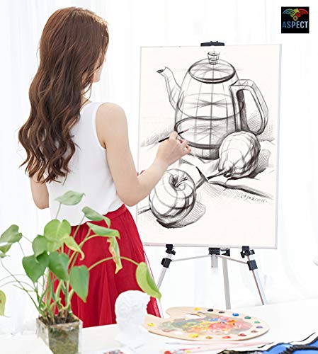 ASPECT Portable 55" Easel | Adjustable | Art Easel Stand Tabletop and Floor Easel | Picture/Poster/A2 A3 A4 Canvas Display Stand | for Indoor/Outdoor Painting | Comes with Carry Bag, Black