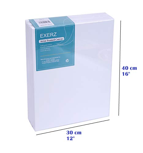Exerz 30x40cm Framed Canvas 5pk - 1.7cm Pre-Stretched Canvas Artist Blank/ A3 Canvas 280GSM 100% Cotton/Triple Primed/Acid Free/Medium Grain/Professional Artist Acrylic Paint, Oil Paint