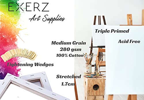 Exerz 30x40cm Framed Canvas 5pk - 1.7cm Pre-Stretched Canvas Artist Blank/ A3 Canvas 280GSM 100% Cotton/Triple Primed/Acid Free/Medium Grain/Professional Artist Acrylic Paint, Oil Paint